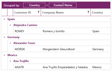 WPF DataGrid Support for Grouping