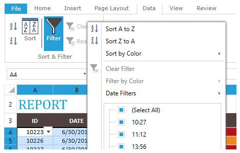 Telerik UI for ASP.NET AJAX SpreadProcessing - filtering