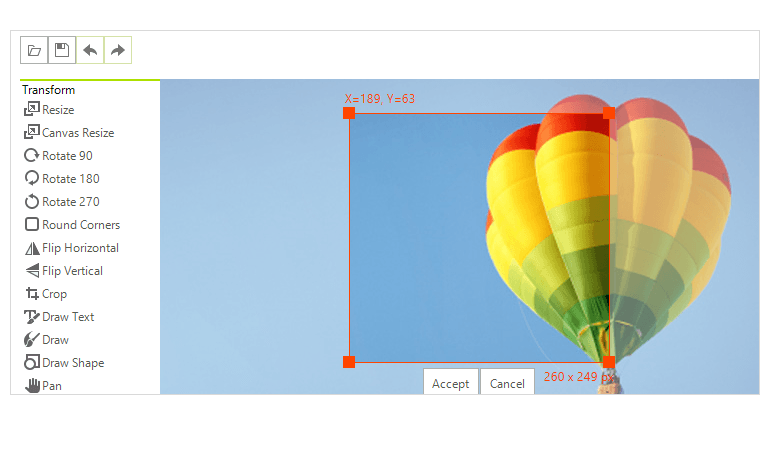 WinForms PictureBox displaying editing with image editor