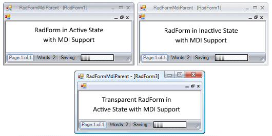 WinForms Form displaying State Support
